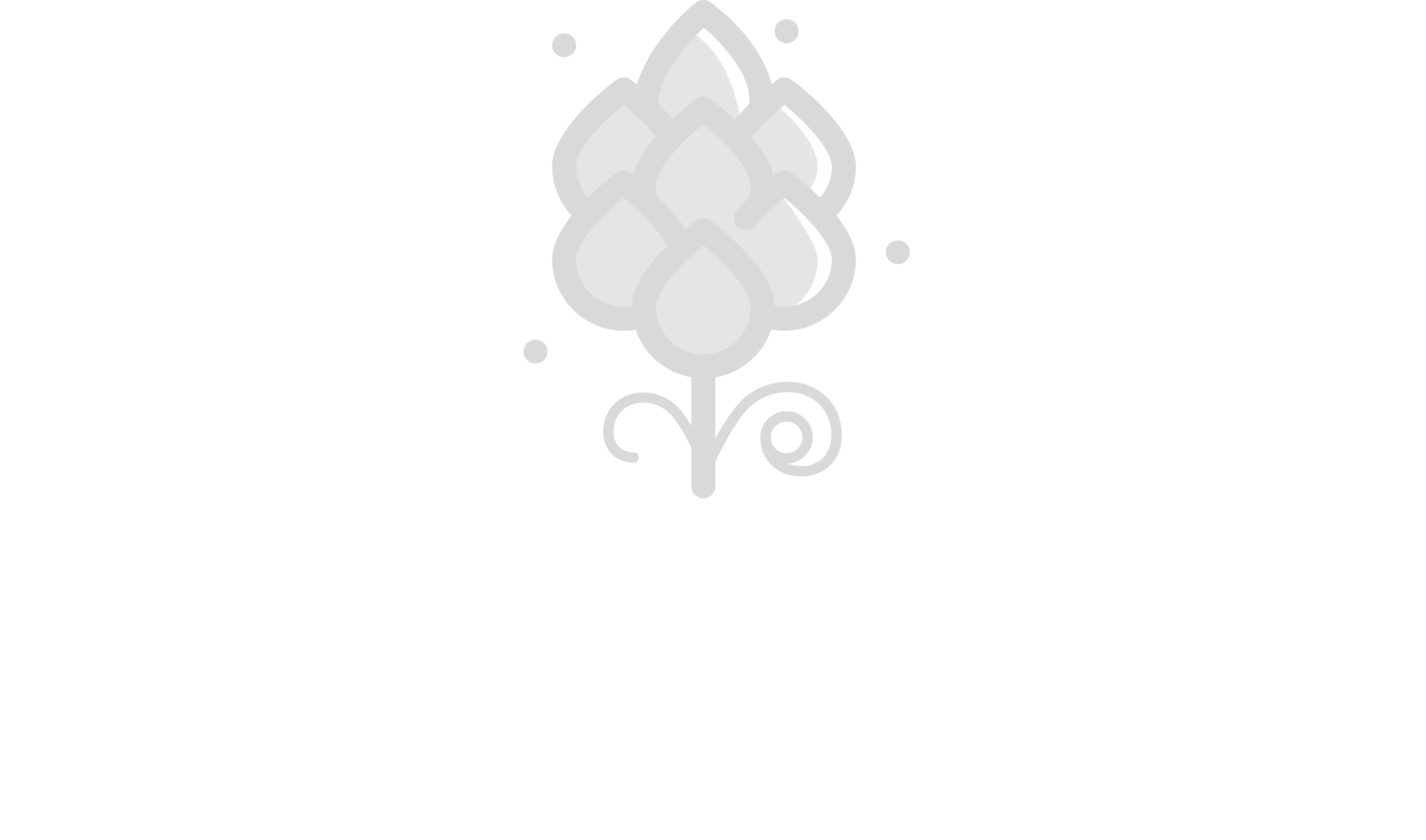 TerraBite Consultancy